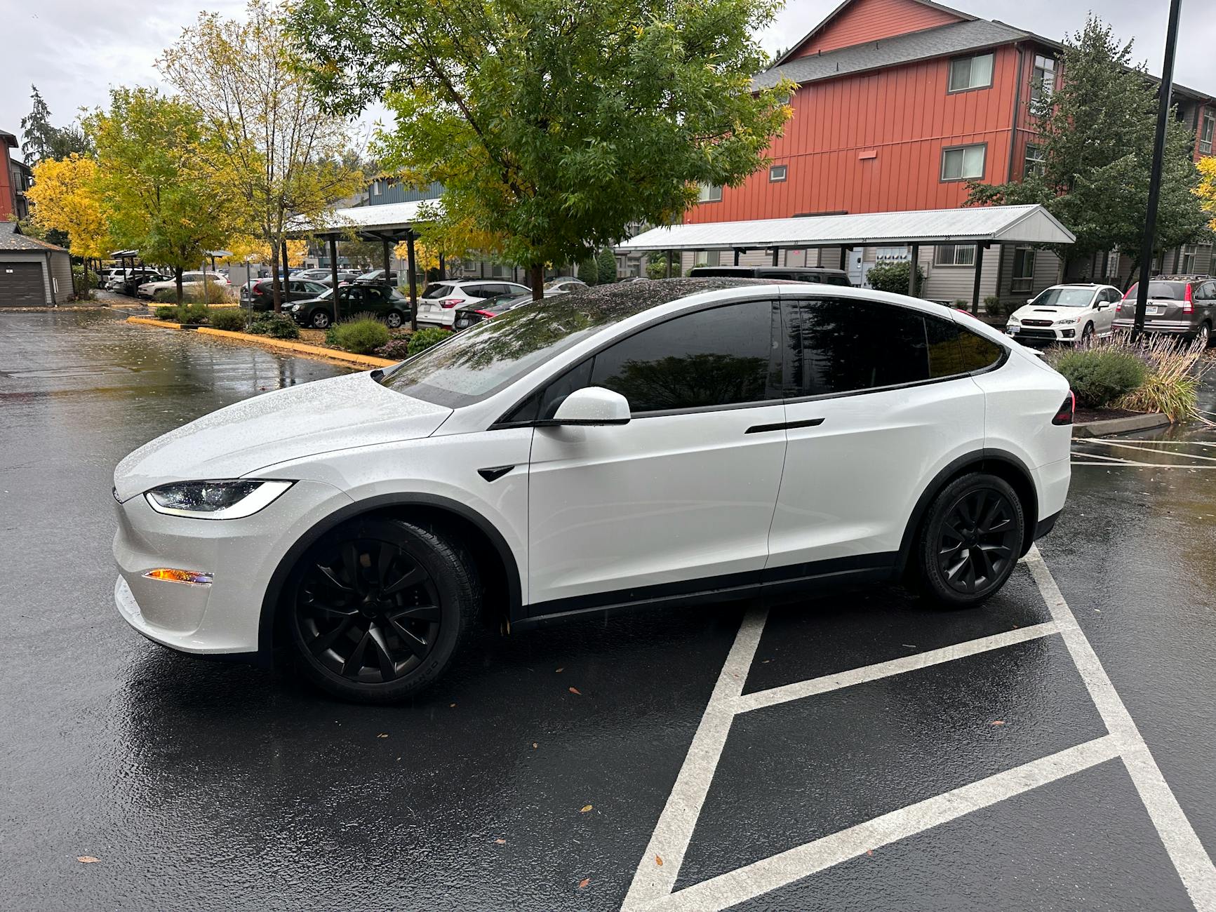 Window Tinting